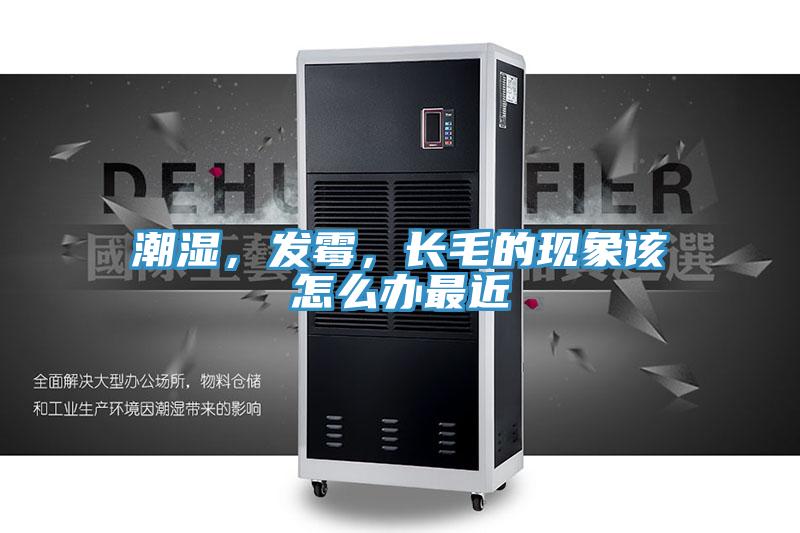 潮濕,發(fā)霉,長(zhǎng)毛的現(xiàn)象該怎么辦最近