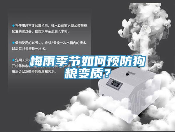 梅雨季節如何預防狗糧變質?