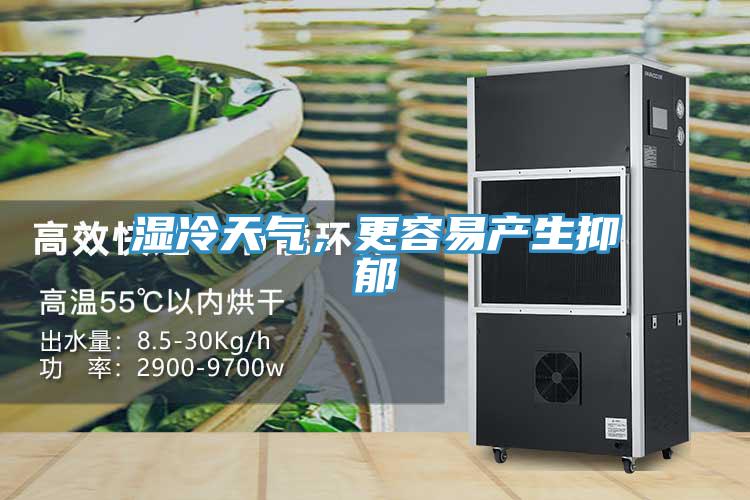 濕冷天氣,更容易產生抑郁