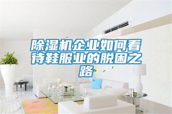 除濕機企業(yè)如何看待鞋服業(yè)的脫困之路