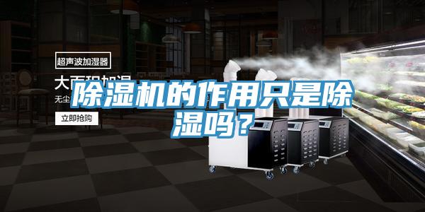 除濕機的作用只是除濕嗎？