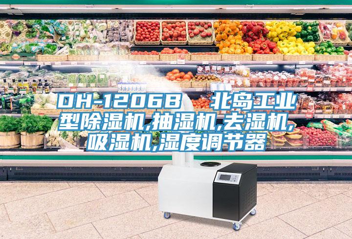 DH-1206B  北島工業(yè)型除濕機,抽濕機,去濕機,吸濕機,濕度調(diào)節(jié)器