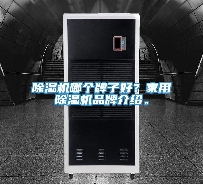 除濕機哪個牌子好?家用除濕機品牌介紹。
