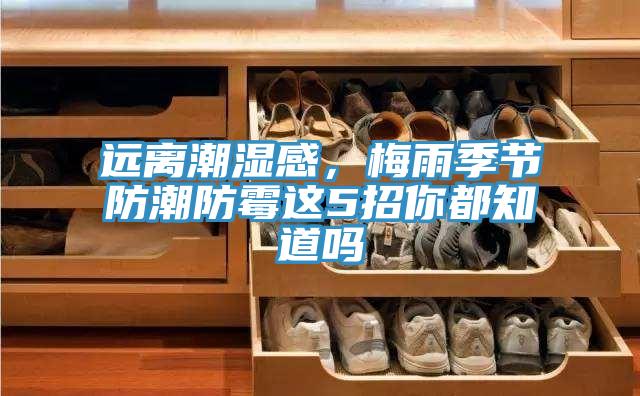 遠離潮濕感,梅雨季節防潮防霉這5招你都知道嗎