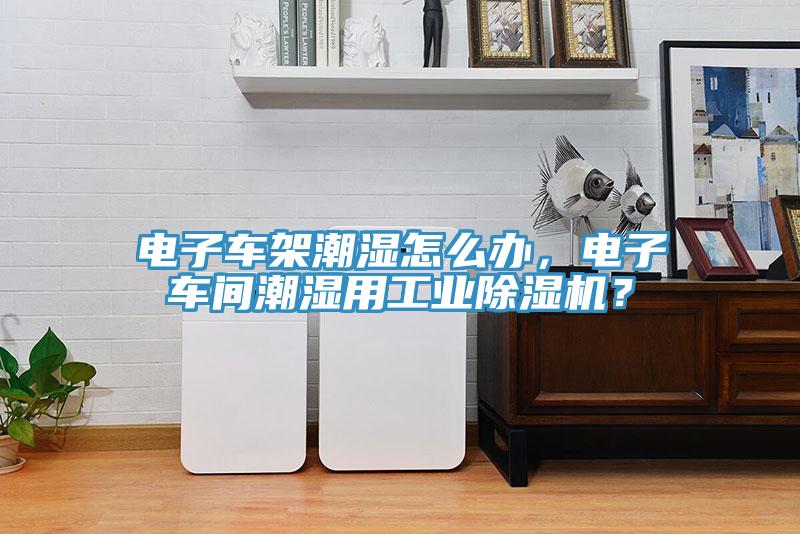 電子車架潮濕怎么辦，電子車間潮濕用工業除濕機？