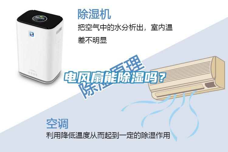 電風扇能除濕嗎?