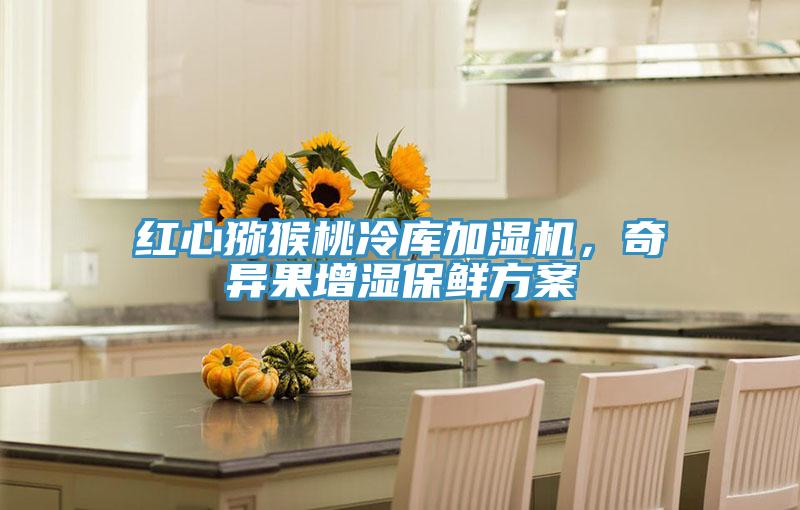紅心獼猴桃冷庫加濕機(jī)，奇異果增濕保鮮方案