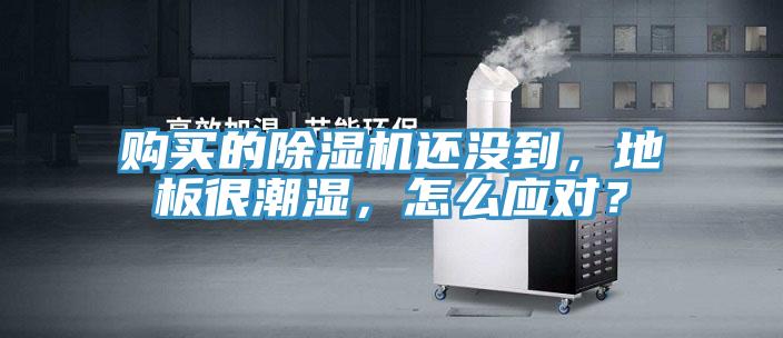 購買的除濕機(jī)還沒到,地板很潮濕,怎么應(yīng)對(duì)?