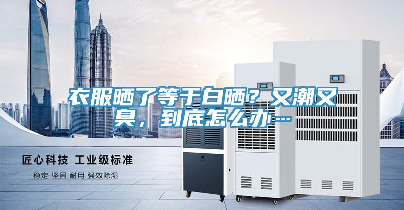 衣服曬了等于白曬？又潮又臭，到底怎么辦…
