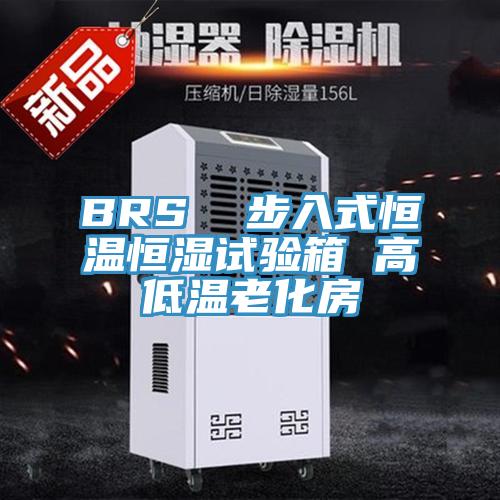 BRS  步入式恒溫恒濕試驗箱 高低溫老化房