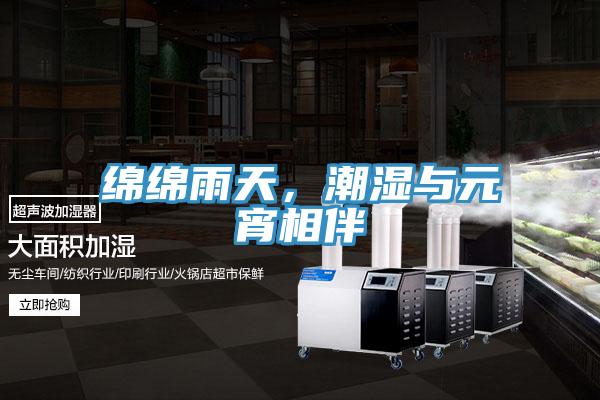 綿綿雨天，潮濕與元宵相伴