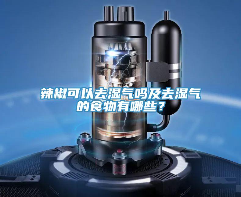 辣椒可以去濕氣嗎及去濕氣的食物有哪些?