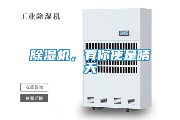 除濕機(jī)，有你便是晴天