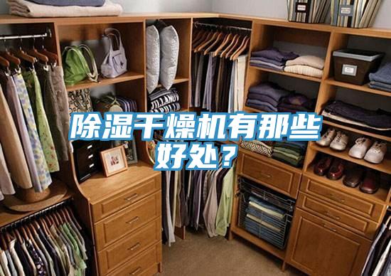除濕干燥機(jī)有那些好處？