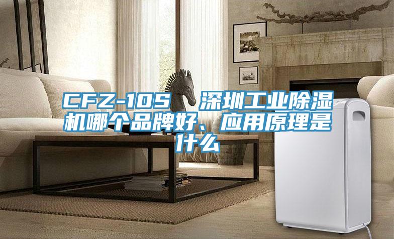 CFZ-10S  深圳工業(yè)除濕機哪個品牌好、應(yīng)用原理是什么