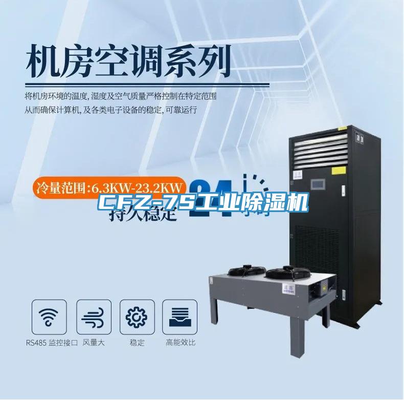 CFZ-7S工業(yè)除濕機