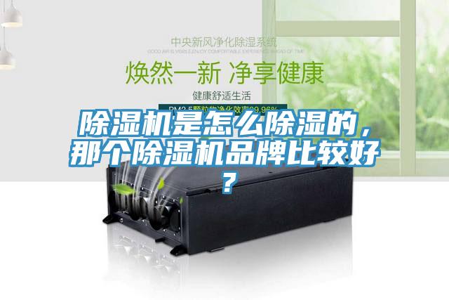 除濕機是怎么除濕的，那個除濕機品牌比較好？