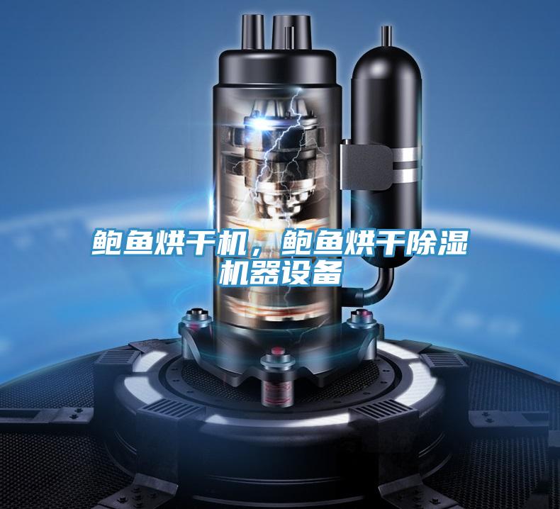 鮑魚烘干機(jī)，鮑魚烘干除濕機(jī)器設(shè)備