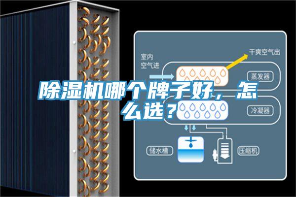 除濕機哪個牌子好,怎么選?