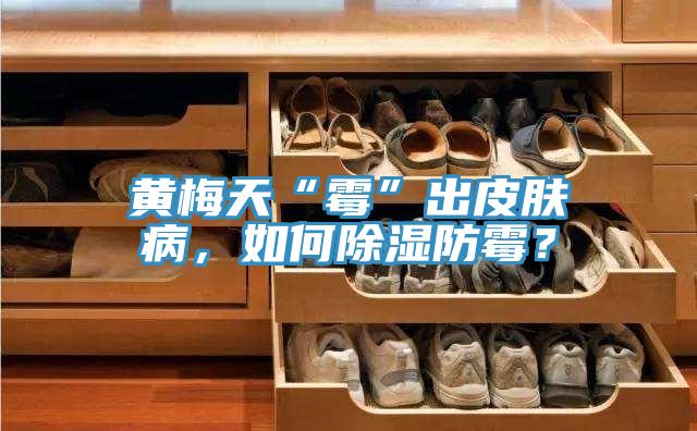 黃梅天“霉”出皮膚病，如何除濕防霉？