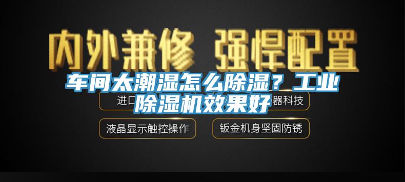 車間太潮濕怎么除濕?工業除濕機效果好