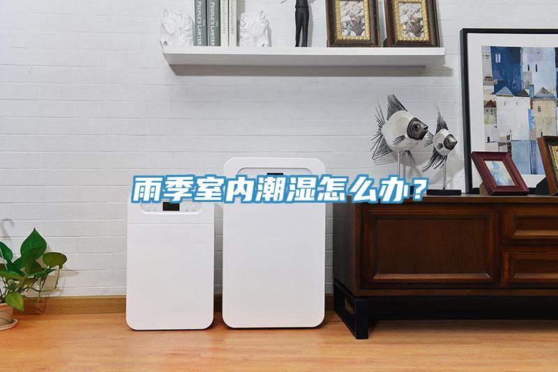 雨季室內潮濕怎么辦？