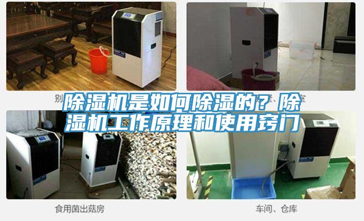 除濕機是如何除濕的？除濕機工作原理和使用竅門