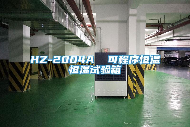 HZ-2004A  可程序恒溫恒濕試驗(yàn)箱