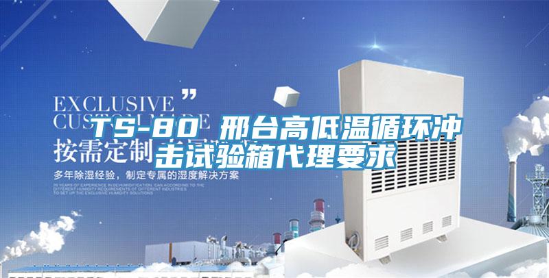 TS-80 邢臺高低溫循環沖擊試驗箱代理要求