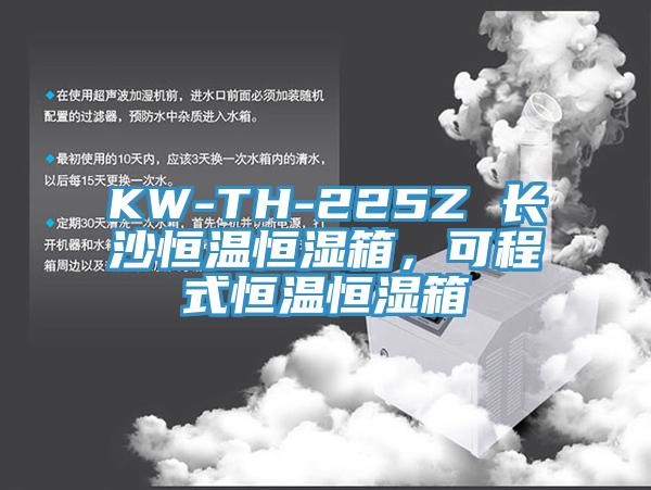 KW-TH-225Z 長沙恒溫恒濕箱，可程式恒溫恒濕箱