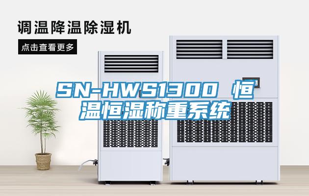 SN-HWS1300 恒溫恒濕稱重系統