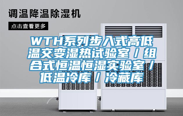 WTH系列步入式高低溫交變濕熱試驗室／組合式恒溫恒濕實驗室／低溫冷庫／冷藏庫