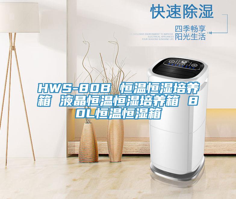 HWS-80B 恒溫恒濕培養箱 液晶恒溫恒濕培養箱 80L恒溫恒濕箱