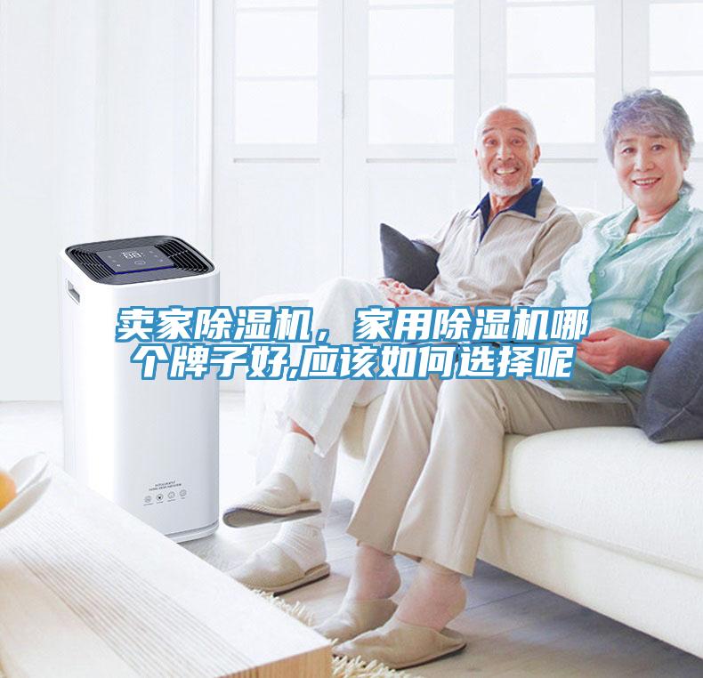 賣家除濕機，家用除濕機哪個牌子好,應該如何選擇呢