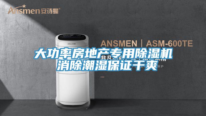 大功率房地產(chǎn)專用除濕機 消除潮濕保證干爽