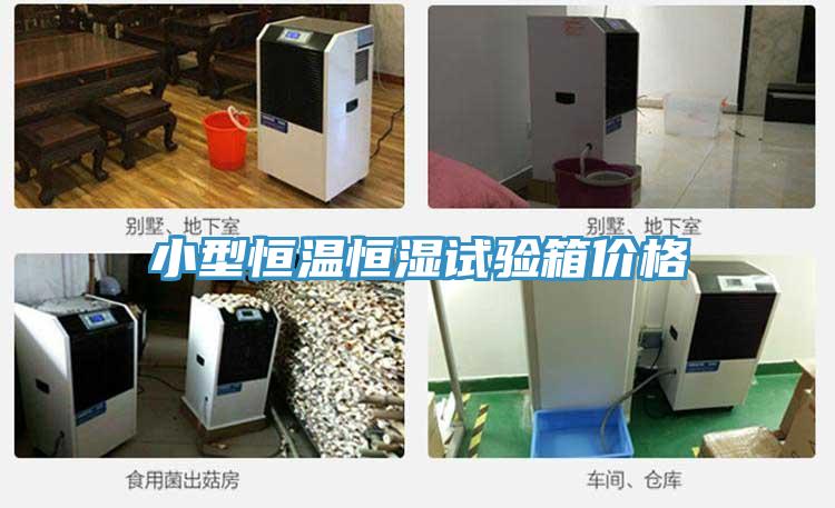 小型恒溫恒濕試驗箱價格