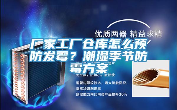 廠家工廠倉庫怎么預防發霉？潮濕季節防霉方案