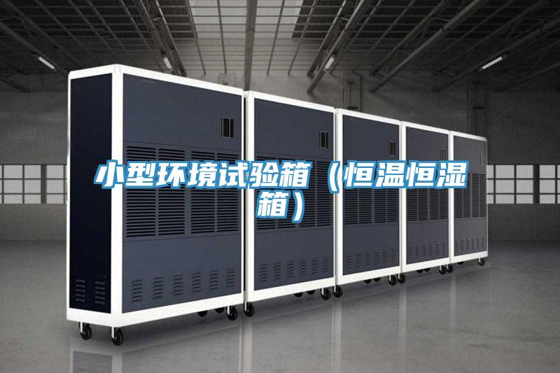 小型環(huán)境試驗箱（恒溫恒濕箱）