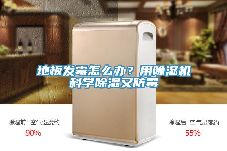 地板發(fā)霉怎么辦？用除濕機(jī)科學(xué)除濕又防霉