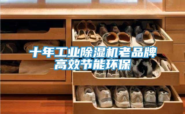 十年工業除濕機老品牌高效節能環保
