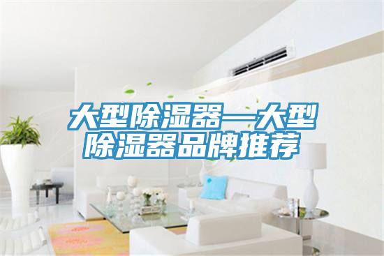 大型除濕器—大型除濕器品牌推薦