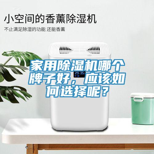 家用除濕機哪個牌子好，應該如何選擇呢？
