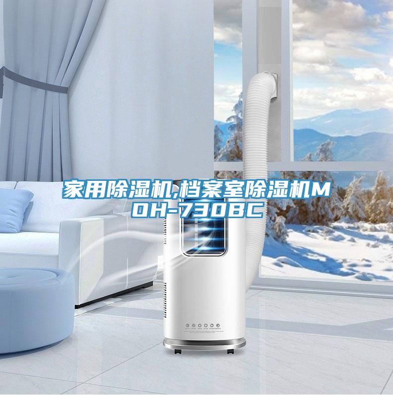家用除濕機(jī),檔案室除濕機(jī)MOH-730BC