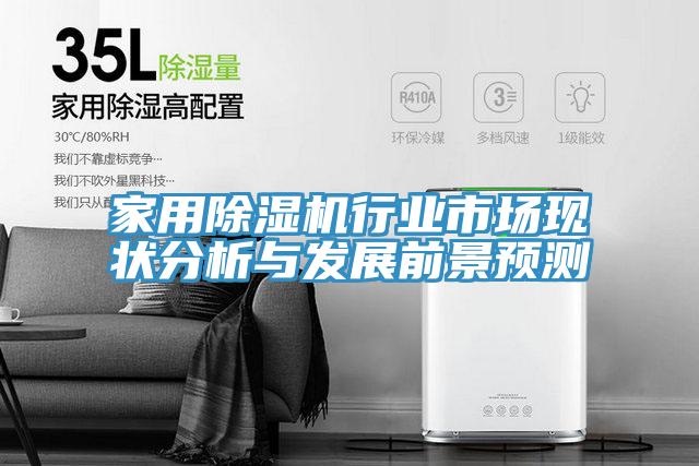 家用除濕機行業市場現狀分析與發展前景預測