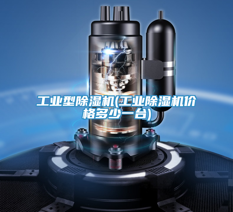 工業(yè)型除濕機(jī)(工業(yè)除濕機(jī)價(jià)格多少一臺(tái))
