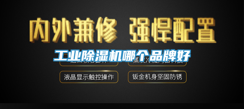 工業除濕機哪個品牌好