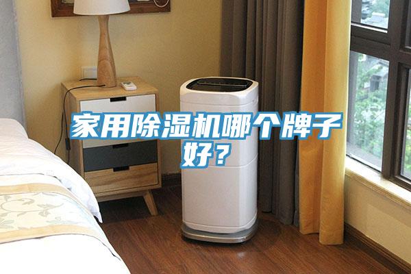 家用除濕機哪個牌子好？