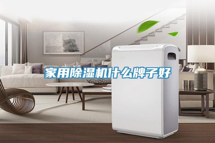 家用除濕機什么牌子好