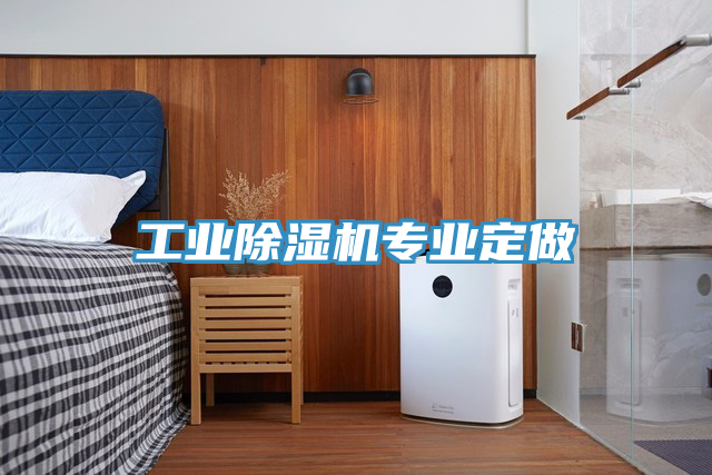 工業除濕機專業定做
