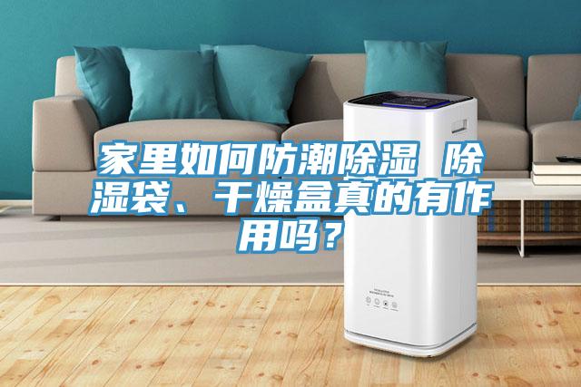 家里如何防潮除濕 除濕袋、干燥盒真的有作用嗎？